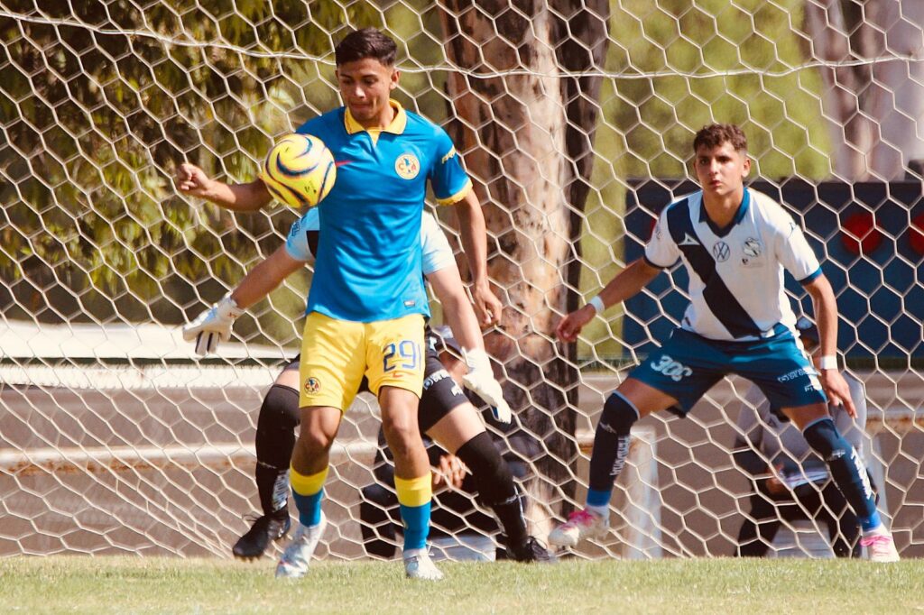 Bruno Diaz